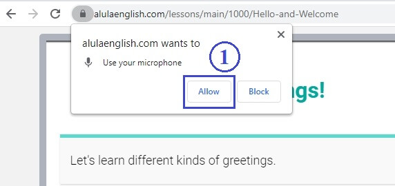 screenshot of Chrome permission for microphone
