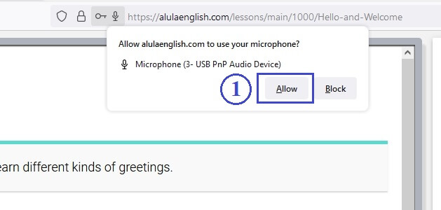 screenshot of Firefox permission for microphone