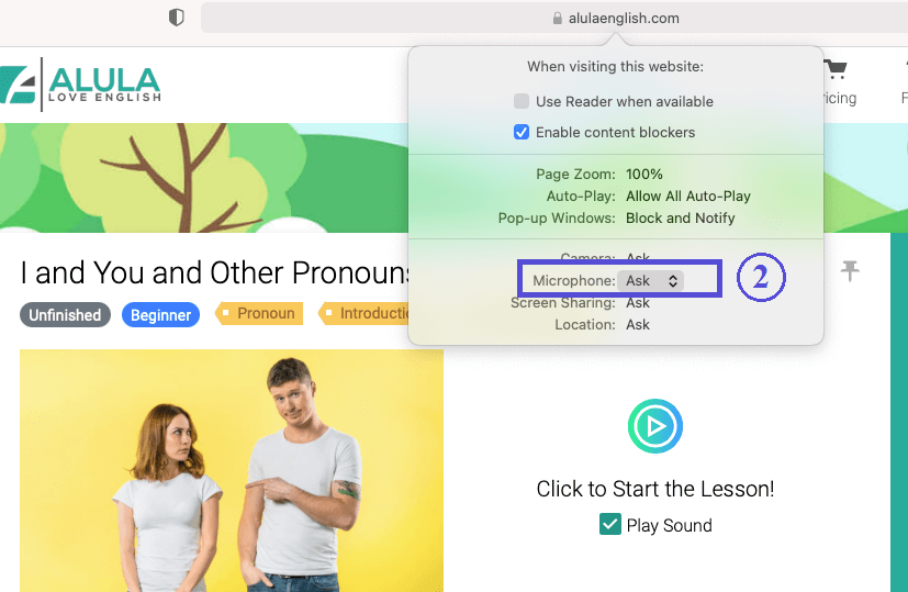 screenshot of Safari permission for microphone, Step 2