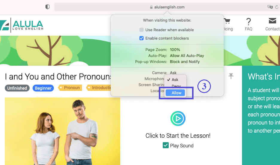 screenshot of Safari permission for microphone, Step 3