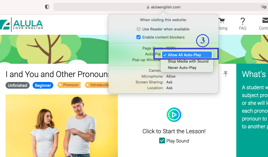 screenshot of Safari permission for sound, Step 3