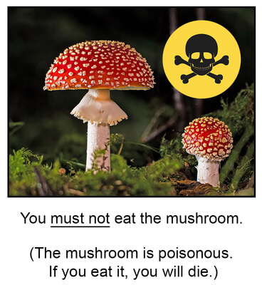 A picture showing the sentence You must not eat the mushroom because the mushroom is poisonous.
