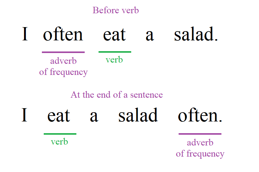 Adverbs of frequency placement in a sentence