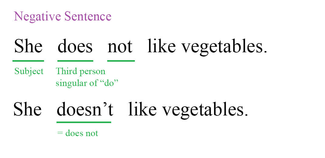 negative sentence grammar