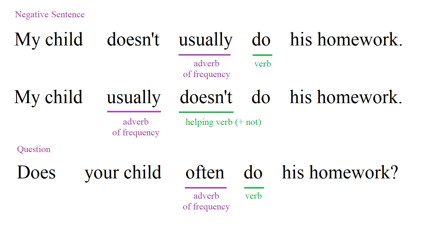 Adverbs of frequency in a negative and question sentences.